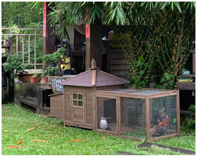 Foldable Wood Chicken Rabbit Cage for Household Large-scale Duck Cats Dog Coops and Pet Houses