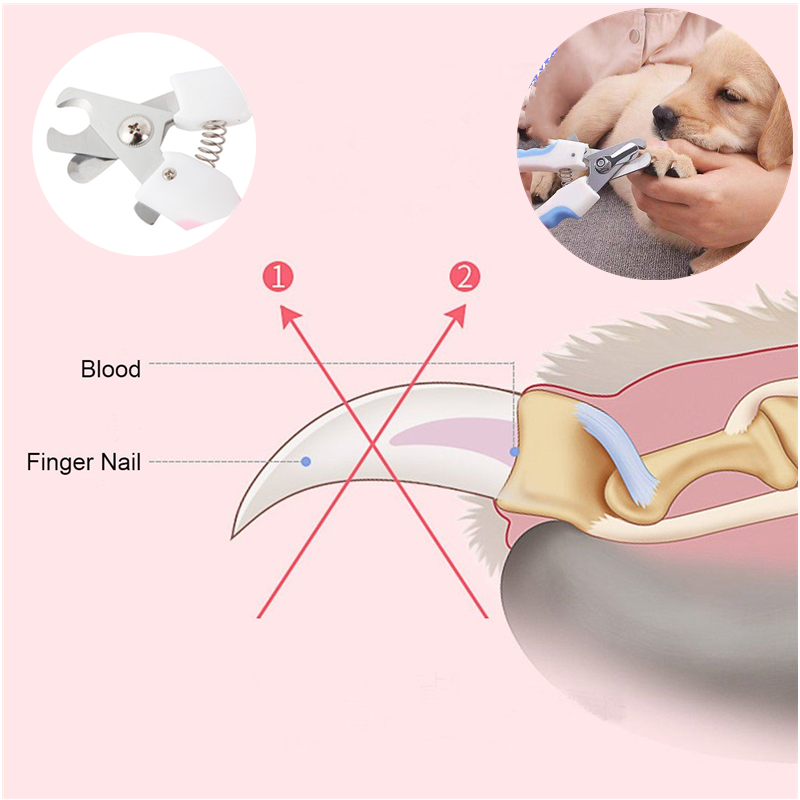 مقص أظافر الحيوانات المهني مع مقص ضوء ليد Professional Animal Nail Clipper With Led Light Scissors