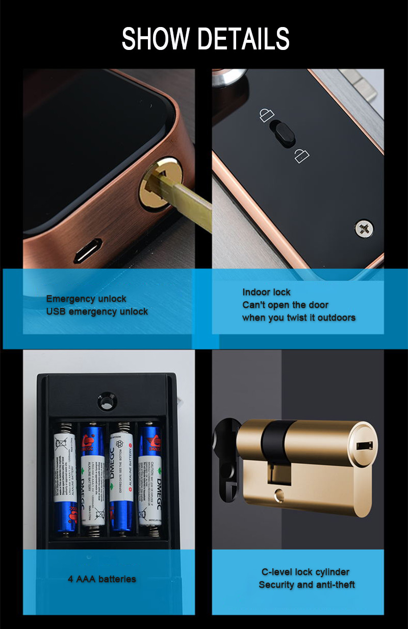 Electronic Smart Door Lock With Biometric Fingerprint / Smart Card / Password / Key Unlock/ USB Emergency Charge Electronic Smart Door Lock With Biometric Fingerprint / Smart Card / Password / Key Unlock/ USB Emergency Charge